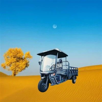 Quali sono i servizi post-vendita per i tricicli elettrici con carico?