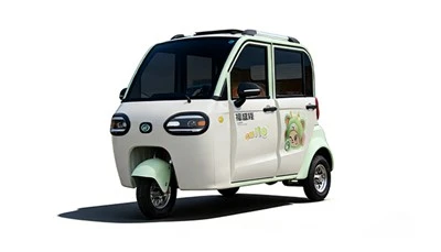 Triciclo elettrico chiuso GreenRide