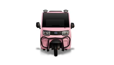Mini triciclo da trasporto